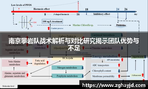 zoty中欧官方网站